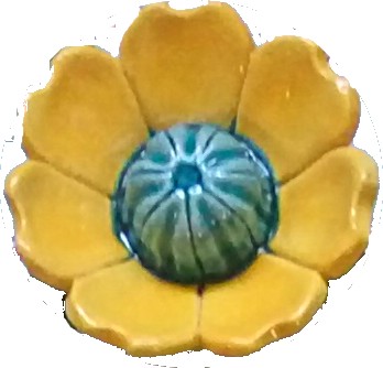 BOUTON d'OR